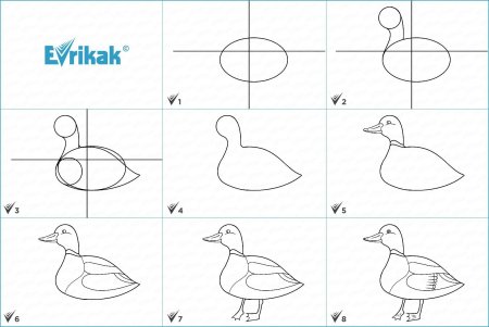 Схема рисования утка старшая группа