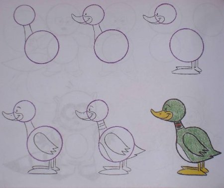 Поэтапное рисование курицы для детей