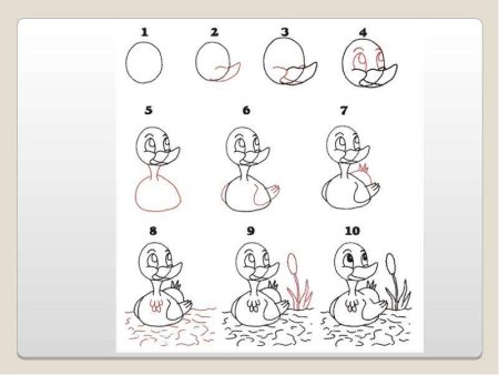 Рисование попугая в подготовительной группе