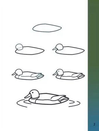 Нарисовать скворца поэтапно