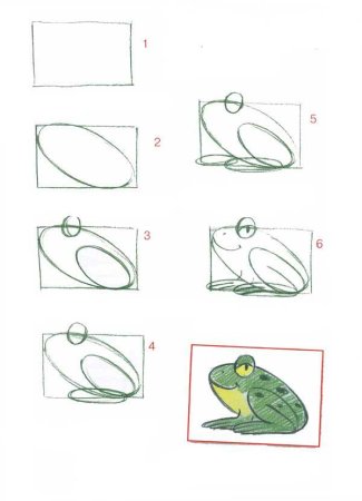 Лягушка сзади рисунок