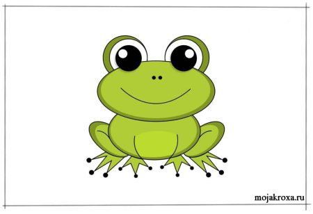 Класс земноводные раскраска