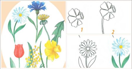 Рисование садовые цветы