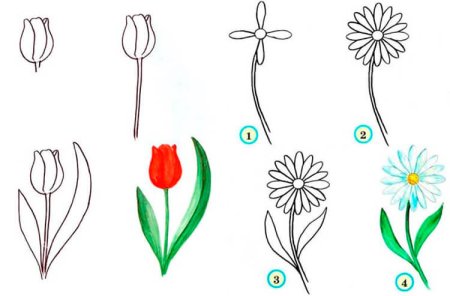Схемы рисования цветов для детей