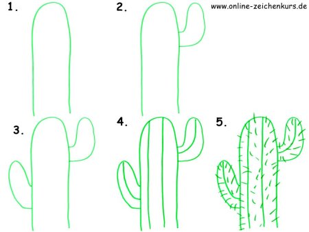 Поэтапное рисование кактуса