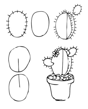 Рисование Кактус старшая группа
