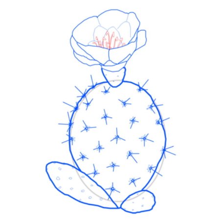 Рисуем Кактус пошагово