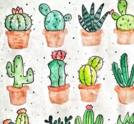 Поэтапное рисование кактуса