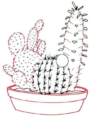 Кактус в горшке рисунок