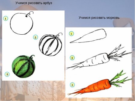 Поэтапное рисование моркови