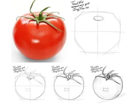 Поэтапное рисование овощей