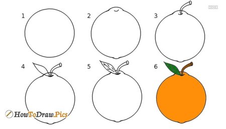 Поэтапное рисование апельсина для детей