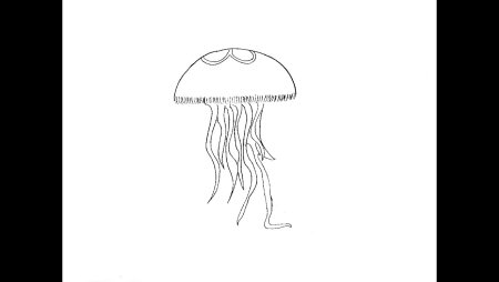 Поэтапное рисование медузы для детей