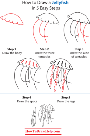 Медуза поэтапно