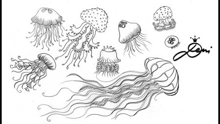 Рисование медузы