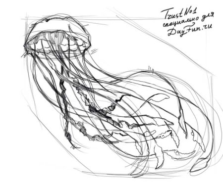 Медуза карандашом