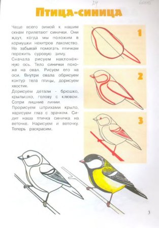 Рисование синица старшая группа поэтапно