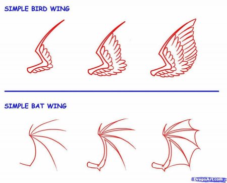 Крылья карандашом