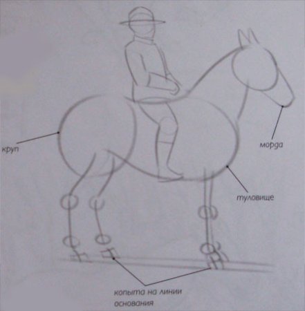 Как рисуется человек на лошади поэтапно