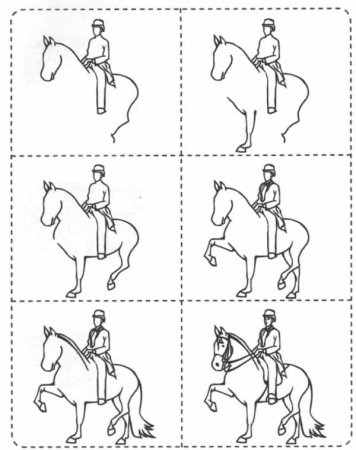 Человек на лошади пошагово
