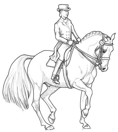 Всадник на лошади рисунок поэтапно (47 фото)