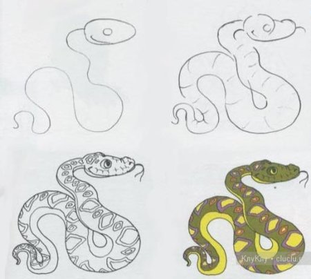 Поэтапный рисунок змеи