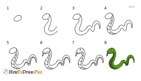 How to draw a Snake Step by Step