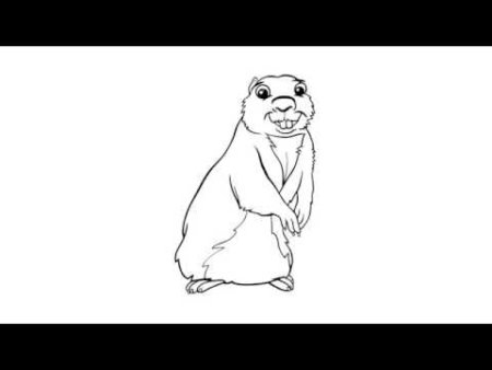 Суслик карандашом легко