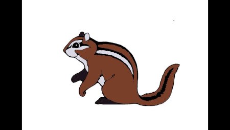 Рисуем бурундука поэтапно