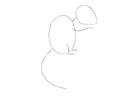 Как нарисовать бурундука поэтапно