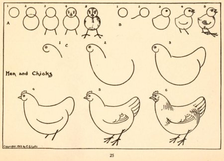 Как нарисовать курицу карандашом поэтапно для детей