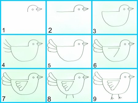 Как нарисовать курицу