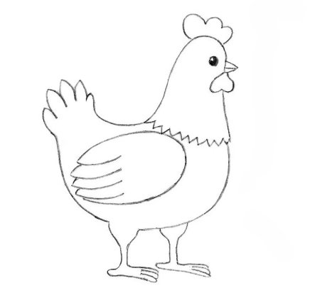 Как нарисовать курицу для детей 8 лет