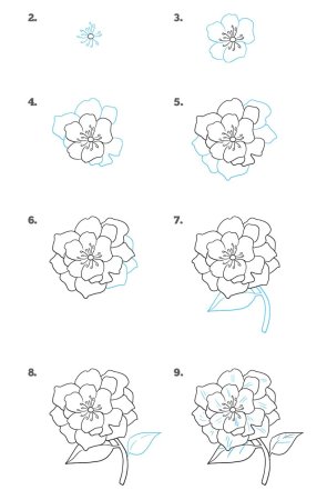 Поэтапное рисование пионов