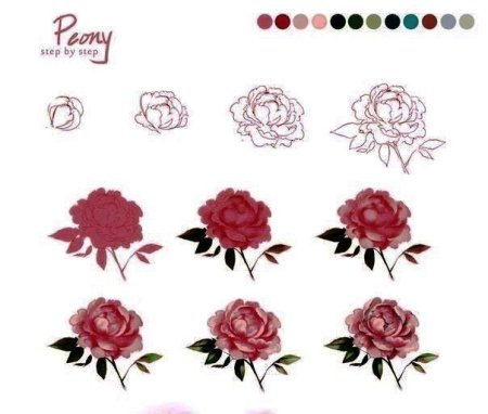 Рисование пионов пошагово