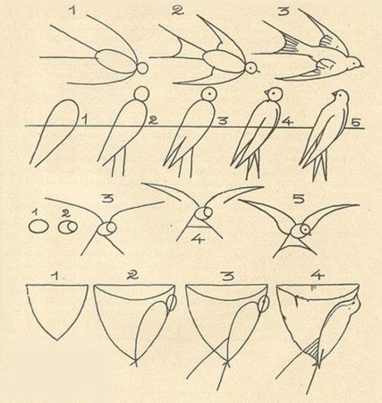 Поэтапное рисование ласточки