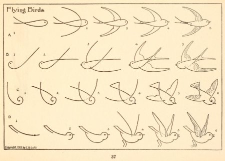 Поэтапное рисование ласточки