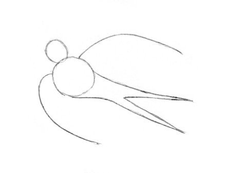 Этапы рисования ласточки