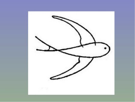 Рисование Ласточка