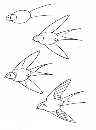 Ласточка рисунок