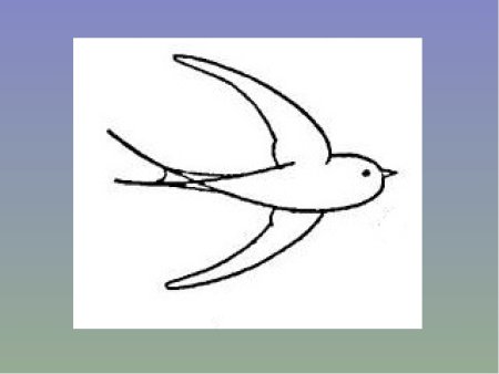 Ласточка рисунок карандашом
