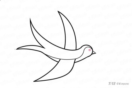 Рисование Ласточка