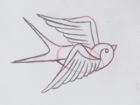 Легкий рисунок ласточки для срисовки