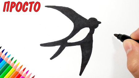 Очень лёгкий рисунок ласточки