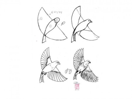 Рисование птиц
