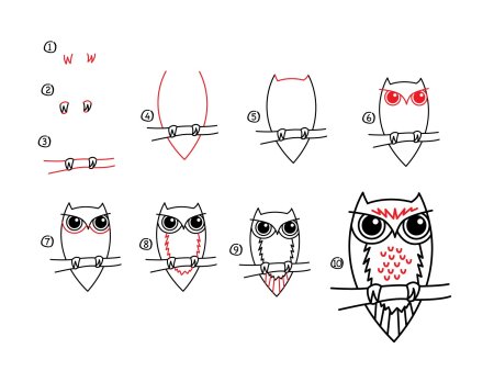 Как рисовать сову поэтапно