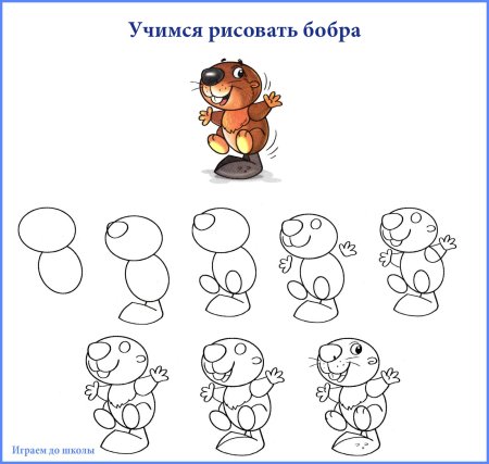 Поэтапное рисование бобра