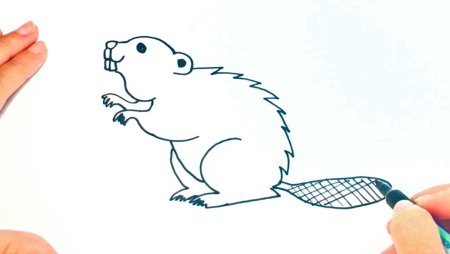 Животные из красной книги рисунки детей лёгкие