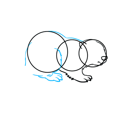 Рисунок бобра карандашом для детей