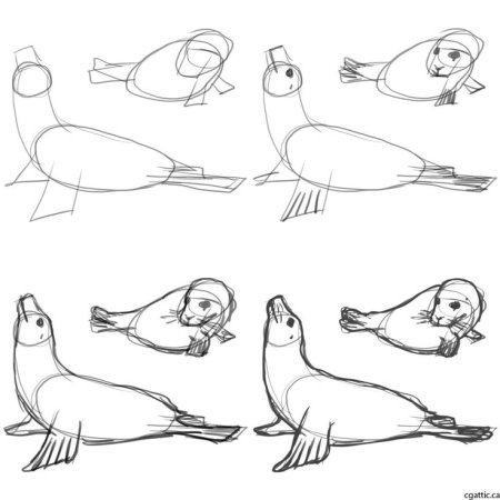 Рисование тюленя